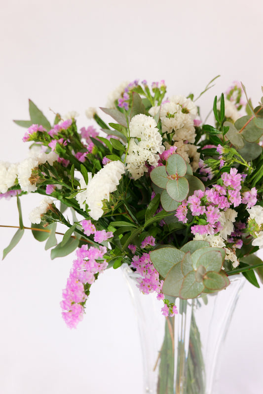 Ramo de Limonium (Statice)