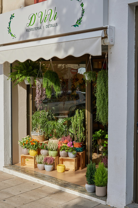 Targeta regal Floristeria D'Vivi