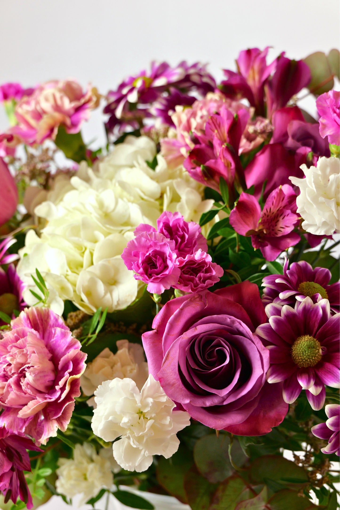 Ram Violeta Imperial