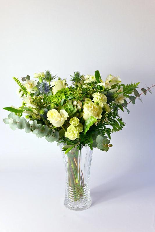 Ramo Bosque Encantado