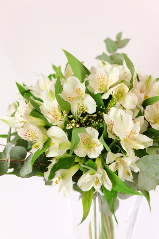 Ramo de Alstroemerias Blancas